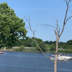 Meet your Posher, Richard